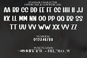 Simply Charming, a Sans Serif Font by FreshTypeINK (Thumbnail 4 of 8)