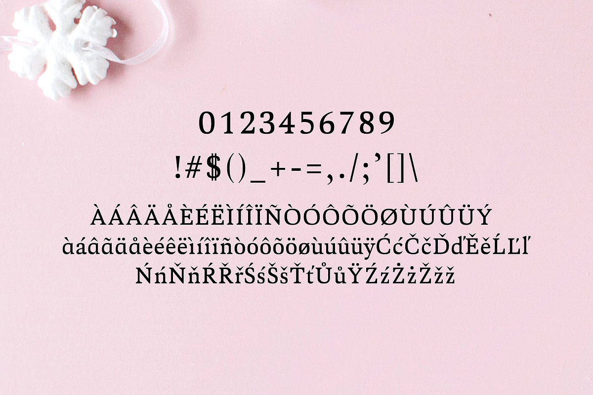 Aderes Serif 2 Font Family Pack preview 4