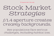 DT Augustina Slab 7 Subfamily, a Slab Serif Font by Deveze Type Foundry (Thumbnail 4 of 31)