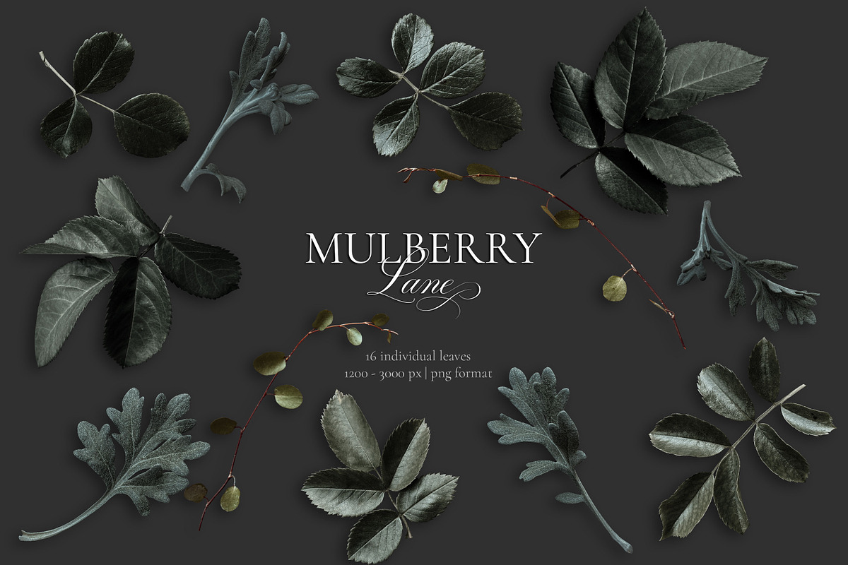 Mulberry Floral Clip Art Pattern Kit, an Object Graphic by Eclectic Anthology (Photo 16 of 17)
