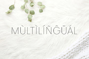 Desiras Font Family - Sans Serif, a Sans Serif Font by RC graphics (Thumbnail 5 of 8)