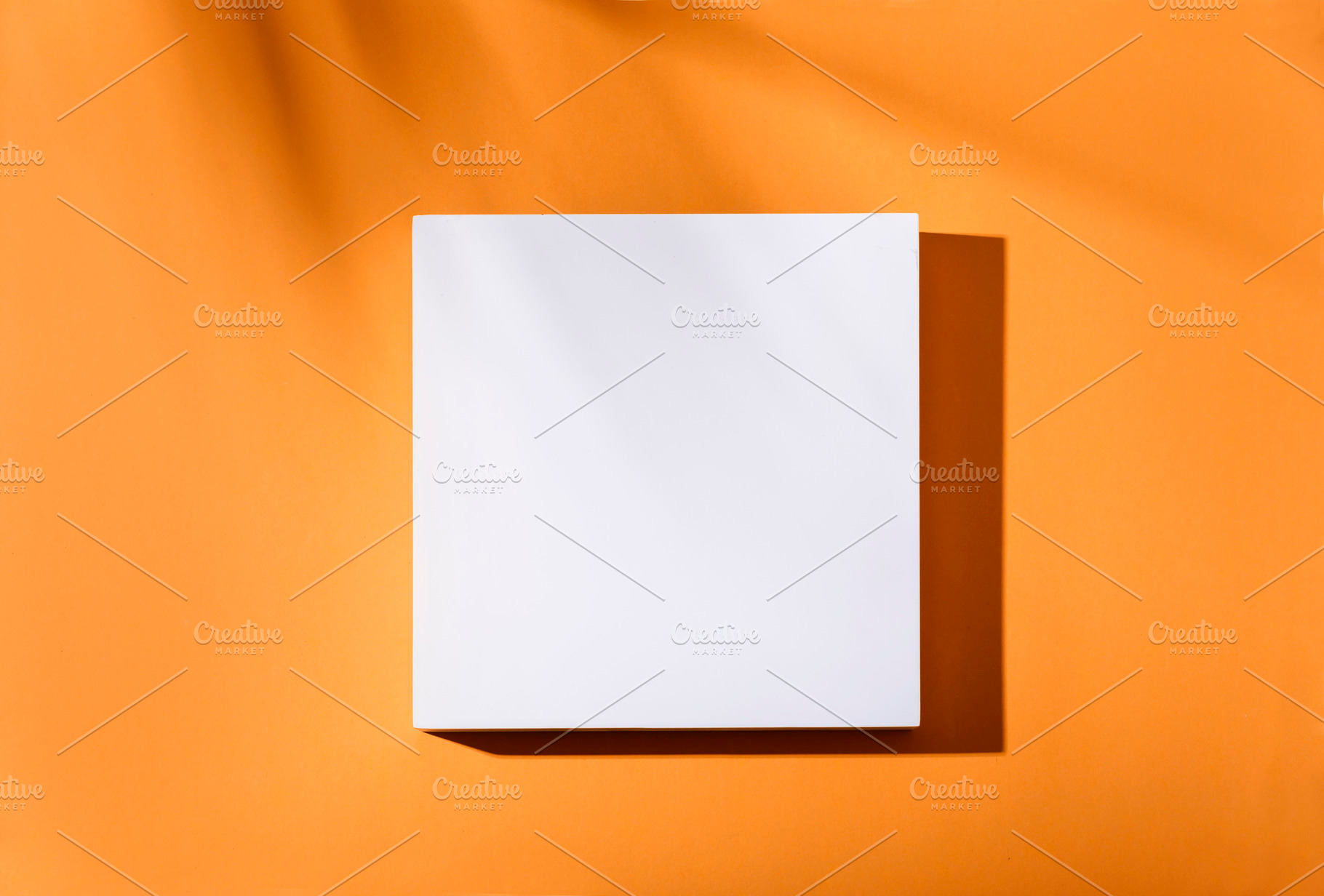 Tropical orange podium palm shadow, a Holiday Photo by hitdelight