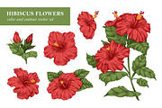 Hand drawn hibiscus flowers set, a Decorative Illustration by Good Studio (Thumbnail 1 of 3)