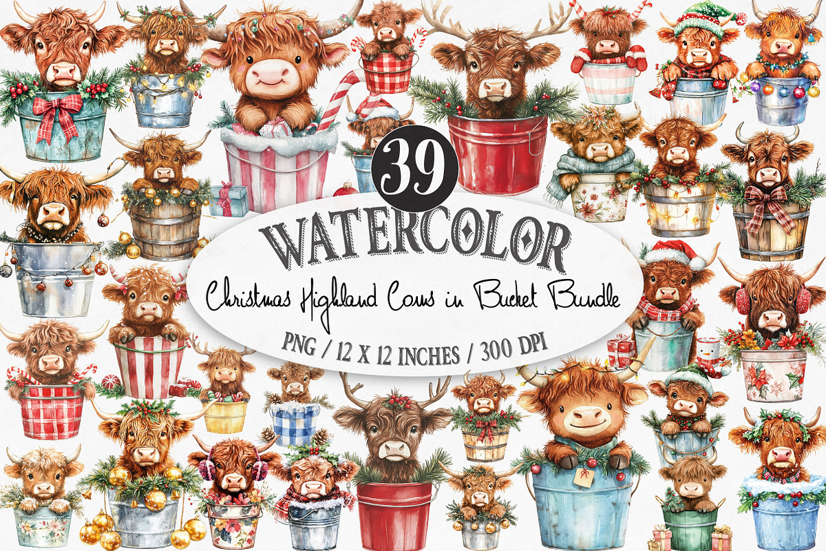 Christmas Highland Cows in Bucket, an Illustration by Designking (Photo 1 of 4)