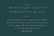Brattons - Stylistic Ligature Serif, a Serif Font by LoneArmy (Thumbnail 10 of 10)