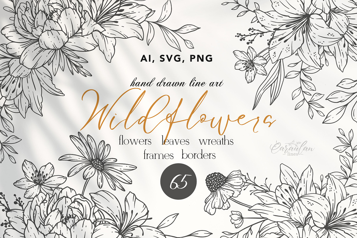 Wildflowers Line Art, an Object Graphic by CaraulanStore (Photo 1 of 12)