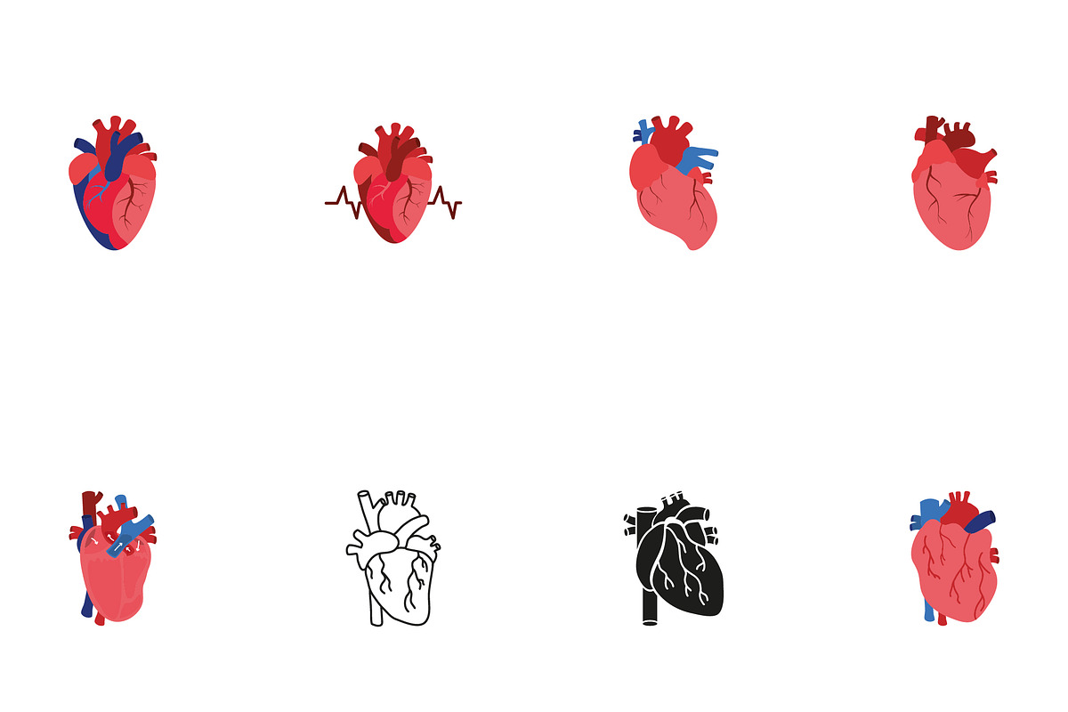 Anatomical Heart Illustration Set