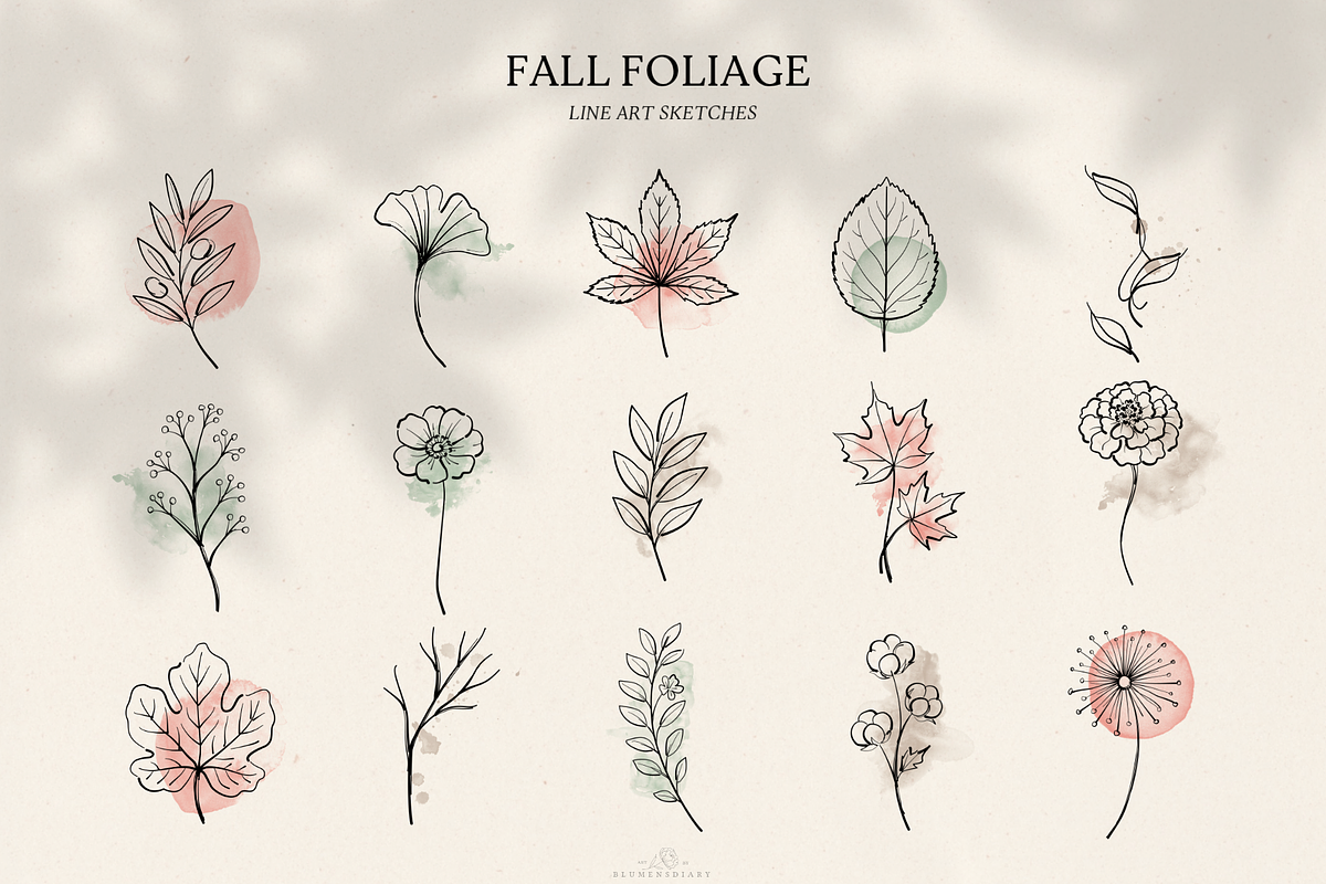 Fall Foliage Line art sketches, an Object Graphic by Blumensdiary (Photo 4 of 7)