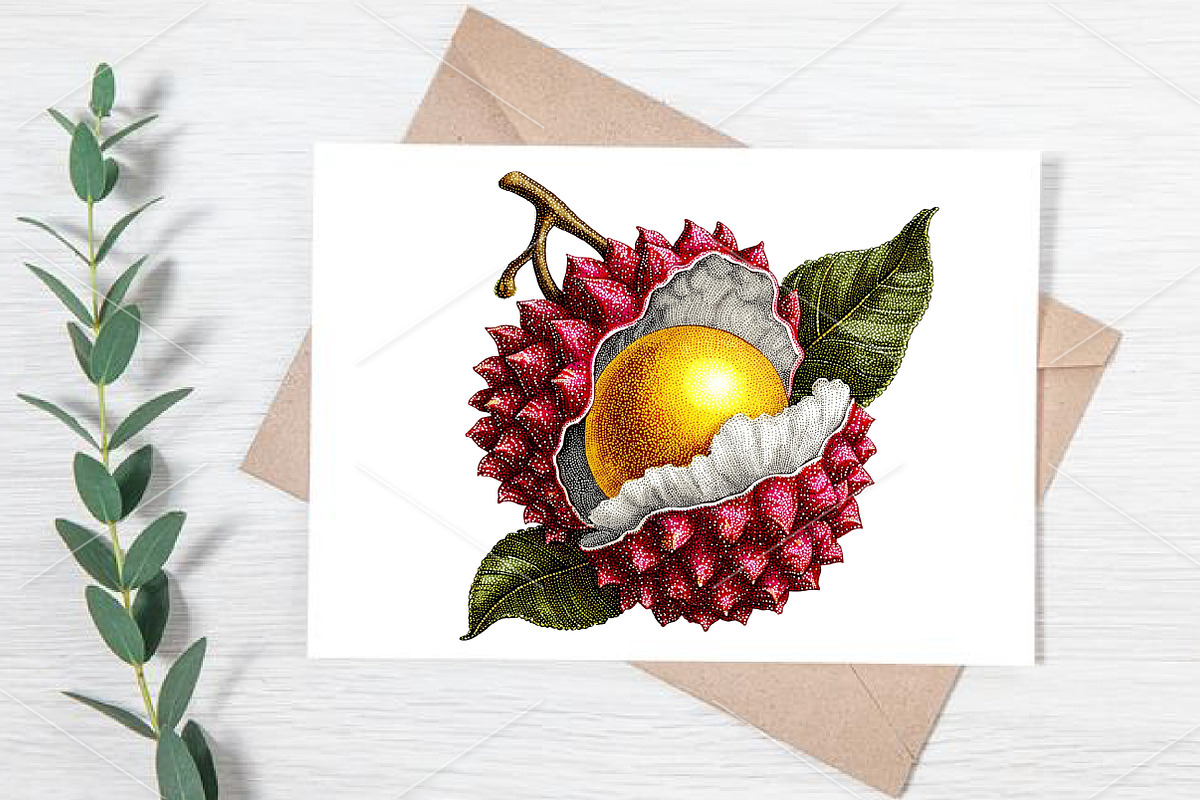 Whimsical Summer Fruits Clipart PNG, an Illustration by Canvas Craft (Photo 5 of 7)