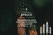 SPRUCE UPPERCASE TYPEFACE, a Handwritten Font by Caroline Holm Design (Thumbnail 2 of 4)