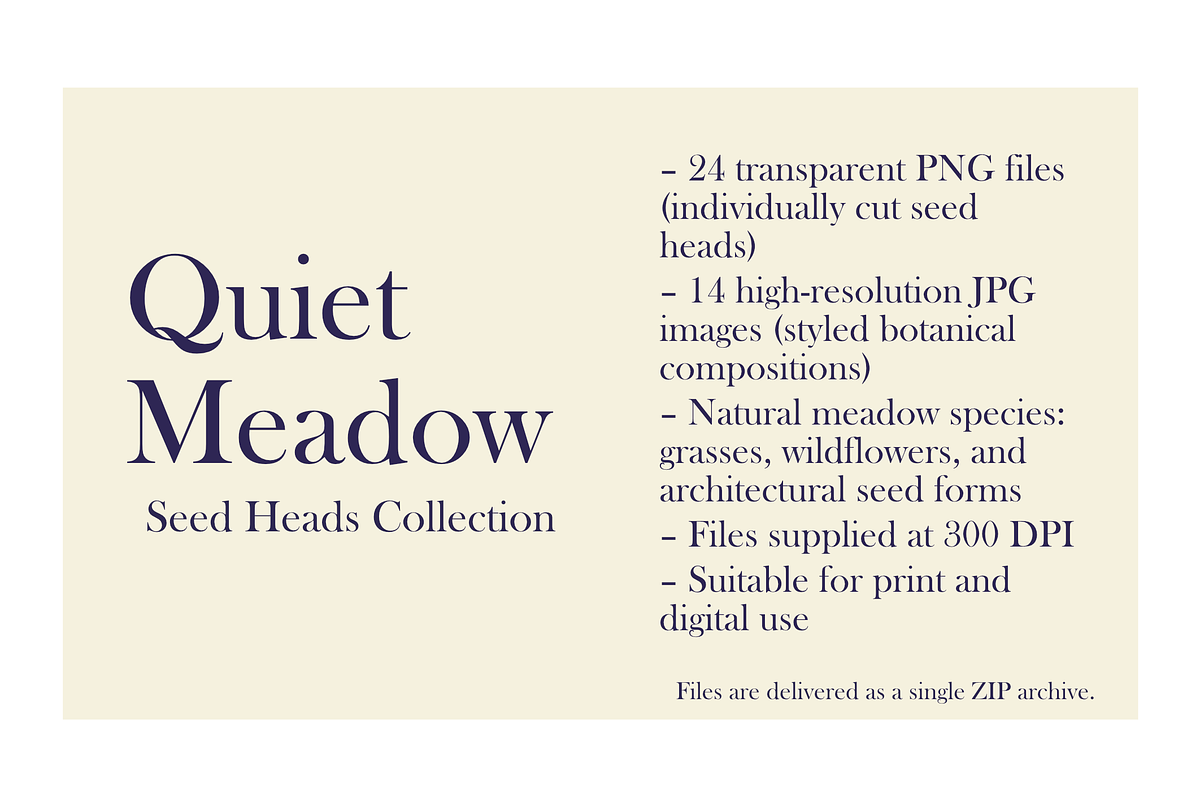 Quiet Meadow — Seed Heads Collection, an Object Graphic by Aga Silva (Photo 7 of 7)
