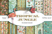 Tropical Jungle, an Animal Illustration by patriziamoscone (Thumbnail 1 of 4)