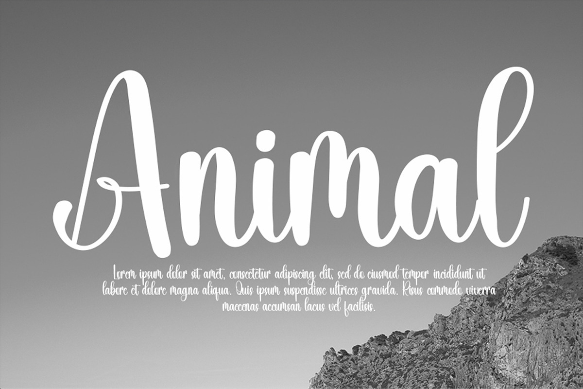 Goat - Script Font, a Script Font by InermediaSTUDIO (Photo 3 of 6)