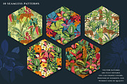Tropical Plants & Animals, a Pattern Graphic by Molly art (Thumbnail 8 of 14)