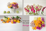 Garden flowers. 22 foto, a Beauty & Fashion Photo by olly87 (Thumbnail 3 of 6)