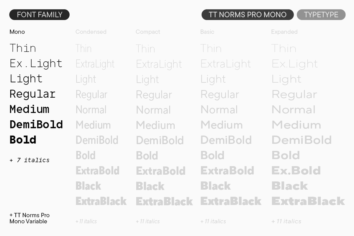 TT Norms Pro Mono, a Sans Serif Font by TypeType (Photo 3 of 6)