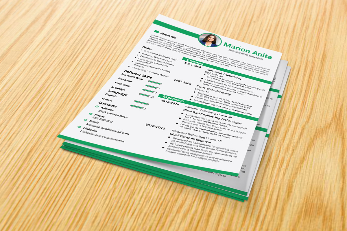 Professional Resume / CV Template, a Resume Template by designvillage (Photo 4 of 11)