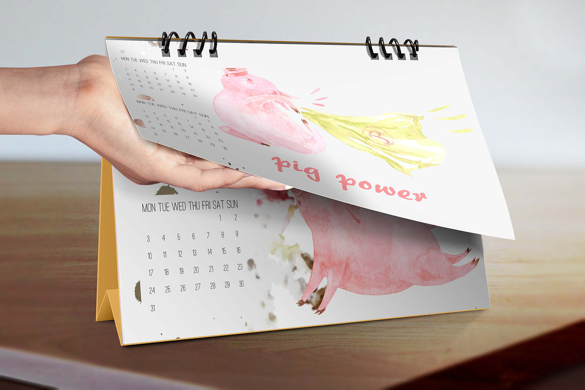 31% Discount on Piggy Year!, a Healthcare Illustration by Cat In Colour (Photo 5 of 5)