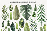 TROPICAL LEAVES & ELEMENTS, a Decorative Illustration by Watercolor by Tonia Tkach (Thumbnail 2 of 6)