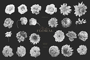 Modern Floral Procreate Brushes V2, a Brush Add-On by Eclectic Anthology (Thumbnail 9 of 11)