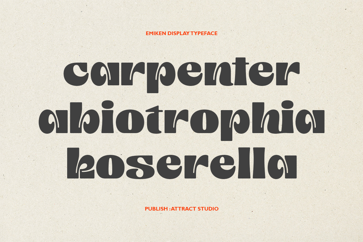 Emiken Display, a Serif Font by Attract Studio (Photo 11 of 17)
