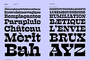 Lapoya Font, a Slab Serif Font by Cuchi, qué Tipo! Foundry (Thumbnail 7 of 18)