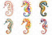 Watercolor Summer Seahorse Clipart, an Illustration by Black Bird Studio (Thumbnail 2 of 5)