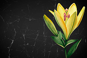 Illustrations of Lilies, a Texture Illustration by Sundra (Thumbnail 10 of 10)