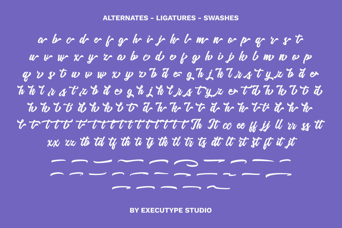 Mezotte - Bold Script Logotype, a Script Font by executypeStudio (Photo 9 of 10)