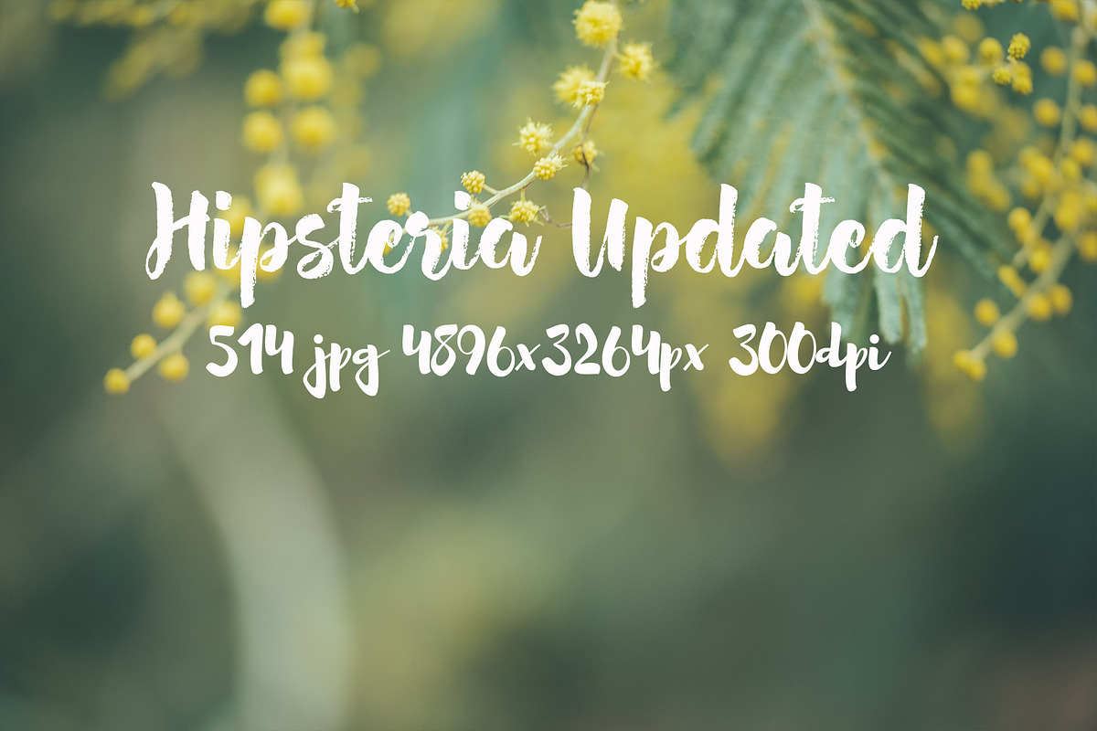 Hipsteria photo pack, a Templates & Theme by ApertureVintage (Photo 12 of 48)