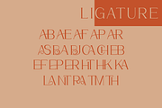 Chrysalara Serif Typeface, a Serif Font by zerologicstudio (Thumbnail 5 of 11)