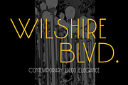 Wilshire Blvd Typeface, a Sans Serif Font by Wonder and Wander (Thumbnail 1 of 5)