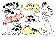 BIG CAT BUNDLE, an Animal Illustration by Nastya Tkachova (Thumbnail 9 of 11)