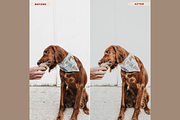 ALMOND Mobile Lightroom Presets, an Action Add-On by 123PRESETS.COM (Thumbnail 2 of 9)