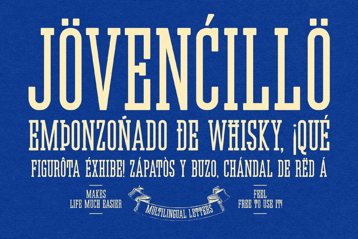 Vertylab, a Slab Serif Font by graphicook (Photo 3 of 10)