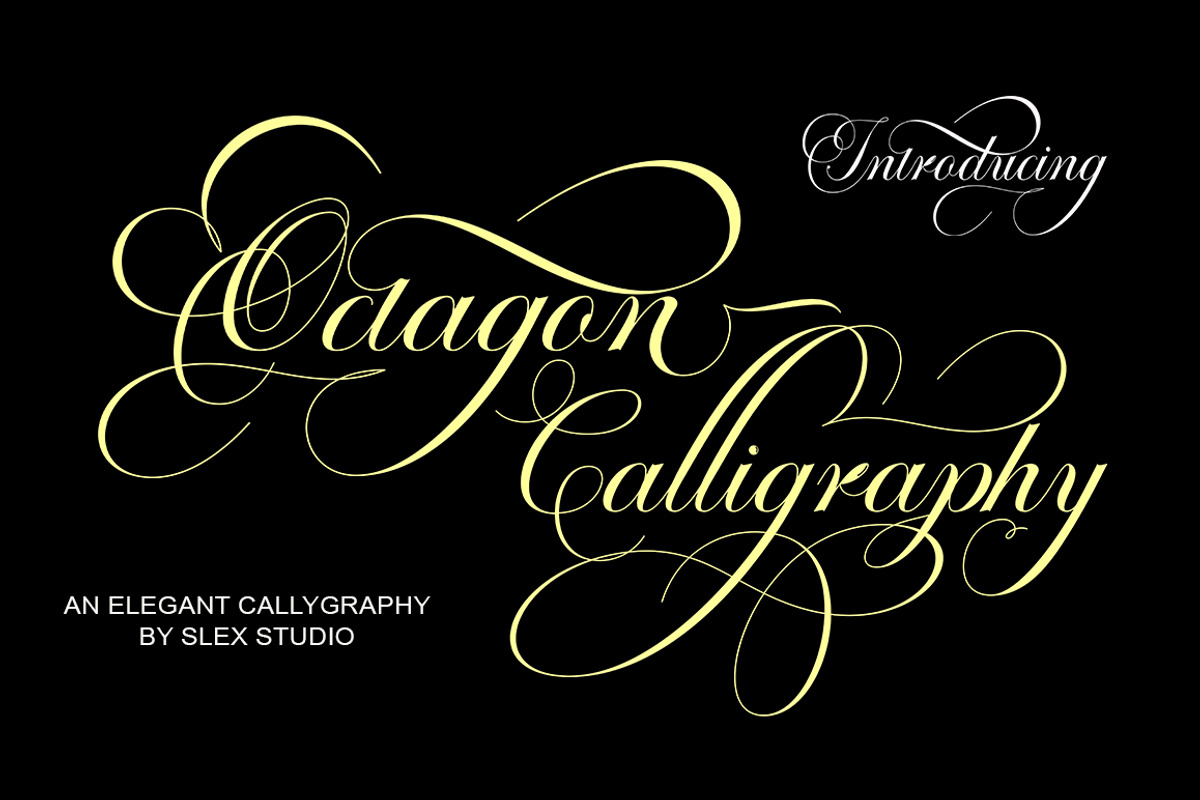 Octagon Calligraphy, a Script Font by Slex Studio (Photo 1 of 8)