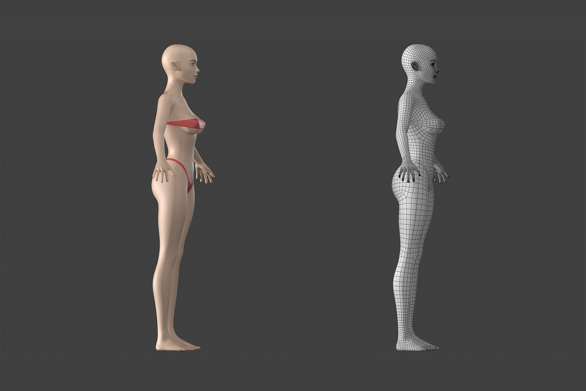 Stylized Female 01 A-Pose Base Mesh, a Characters & Person 3D Model by VK Studio (Photo 4 of 27)