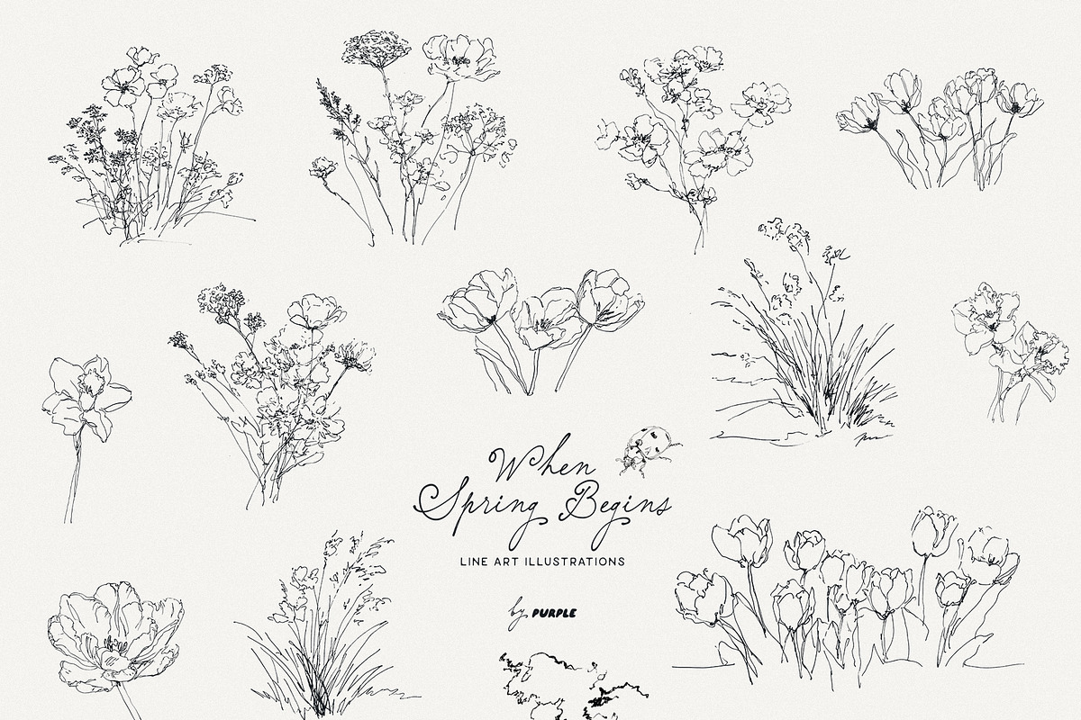 When Spring Begins: Line Art, a Seasonal Illustration by Purple (Photo 13 of 15)