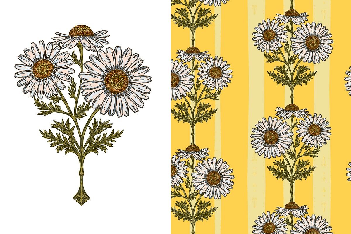 wild daisy botanical stripe, a Pattern Graphic by NayaChu (Photo 8 of 10)