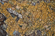 ROCK a photographic collection, a Nature Photo by ISEEYOUPATTERN (Thumbnail 5 of 5)
