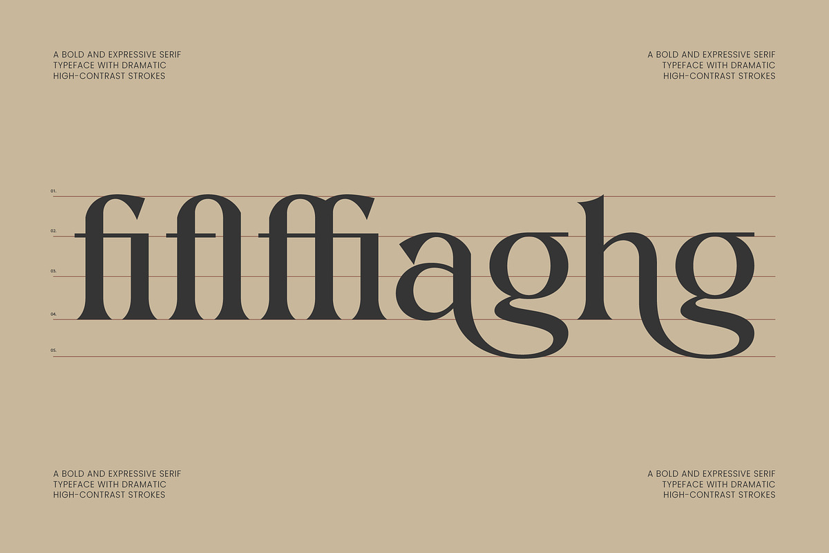 Vielotta Elegant Editorial Serif, a Serif Font by AmorfaType (Photo 4 of 8)