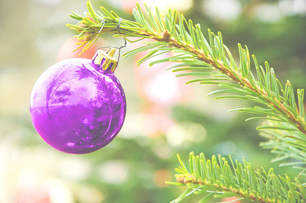 Trees reflection in Christmas ball, a Holiday Photo by Elena Dijour Photography