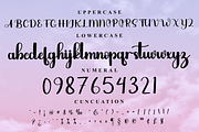 Snow Leopard, a Handwritten Font by InermediaSTUDIO (Thumbnail 6 of 7)
