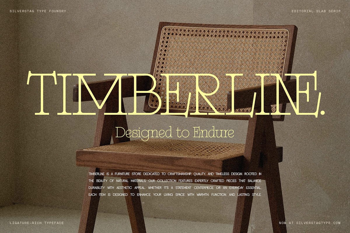 Alorisse – Editorial Ligature Font, a Font by SilverStag Type Foundry (Photo 15 of 20)