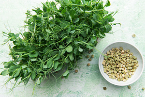 Fresh pea microgreens and dried seeds for healthy eating, a Food & Drink Photo by Olena Rudo