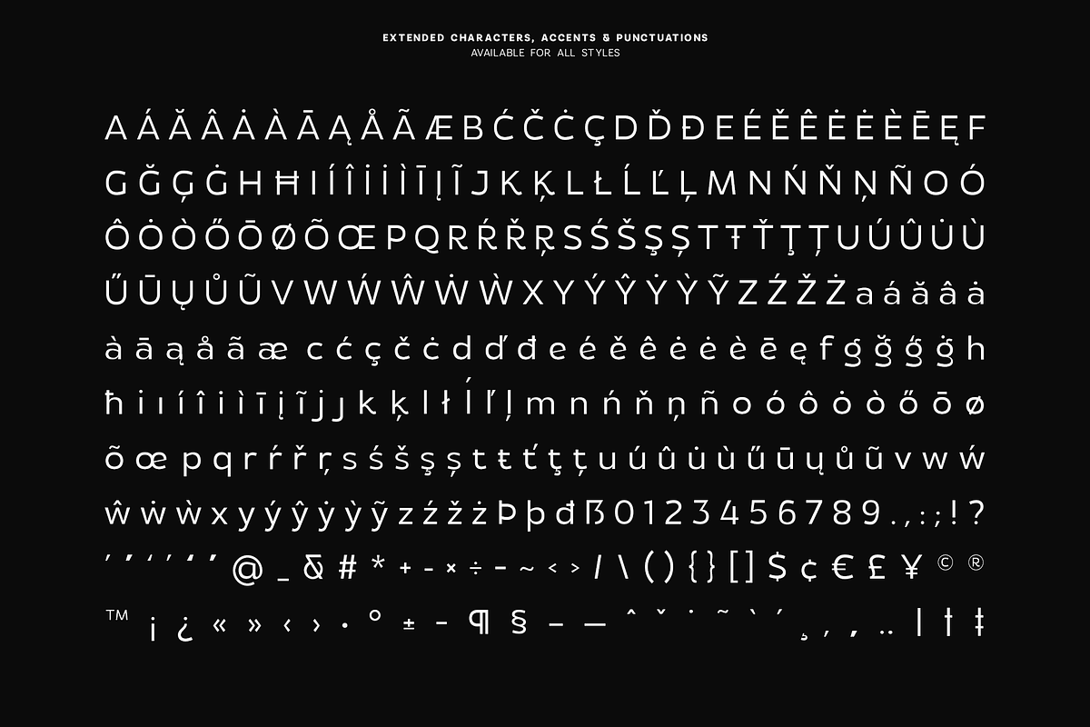 Flamor - Editorial Sans Serif Family, a Sans Serif Font by VP Fonts (Photo 14 of 23)