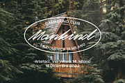 AT Kaminari Script, a Script Font by Any-Type® Foundry (Thumbnail 6 of 10)