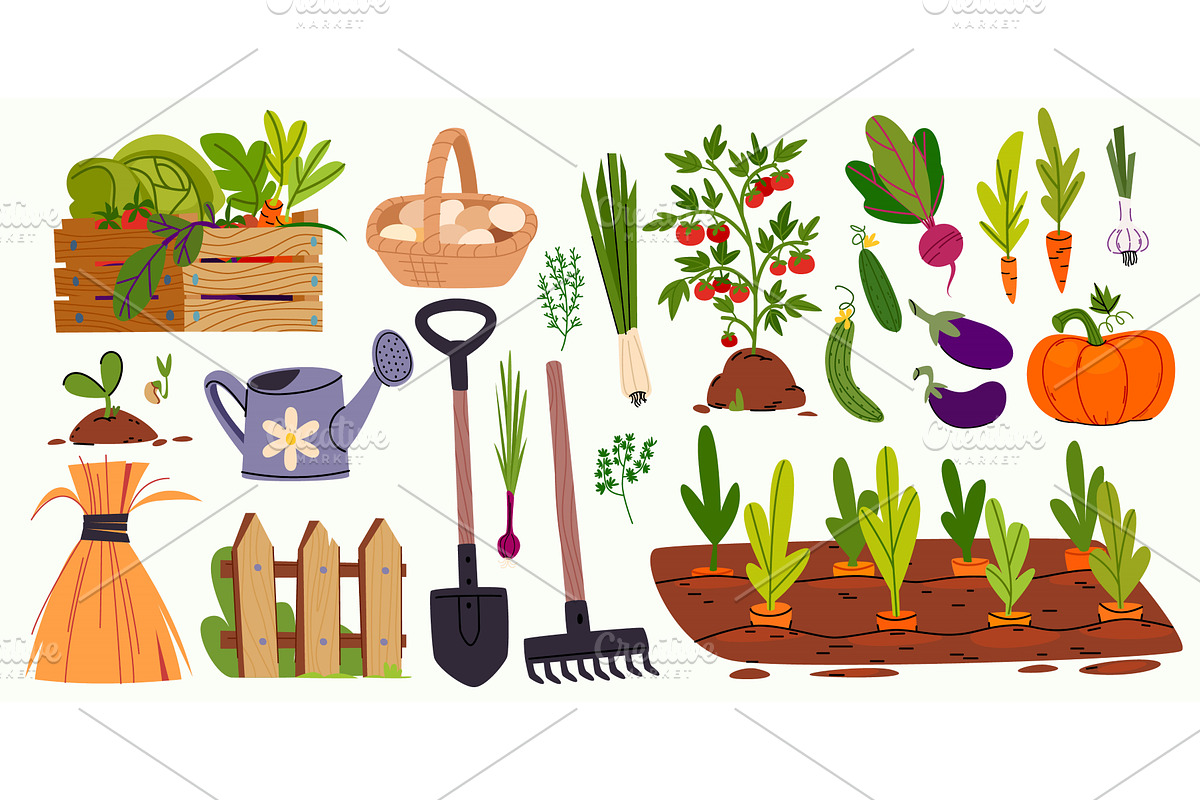Gardening tools and vegetables set, an Illustration by art PVP - market