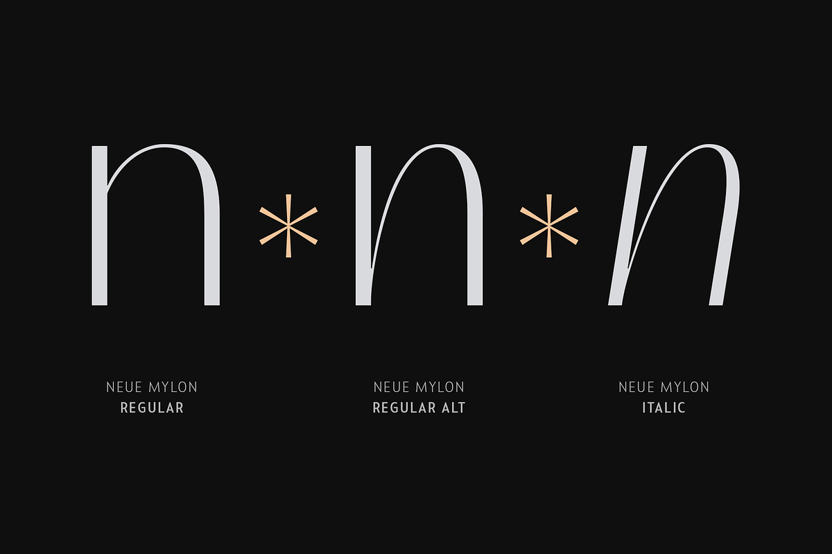 Neue Mylon - 21 Fonts, a Sans Serif Font by Nasir Udin (Photo 9 of 14)