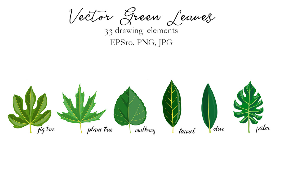 Vector Green Leaves, an Illustration by cat_arch_angel (Photo 4 of 4)